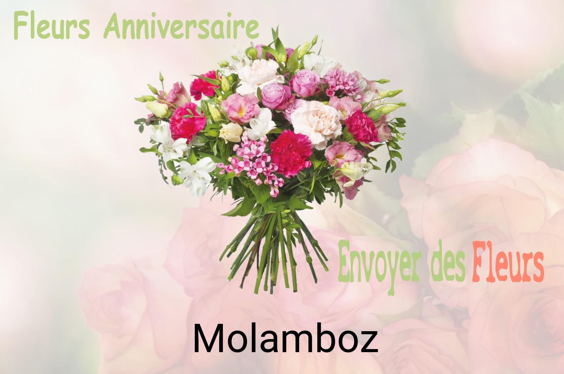 Bouquet de fleurs d’anniversaire livré à Molamboz