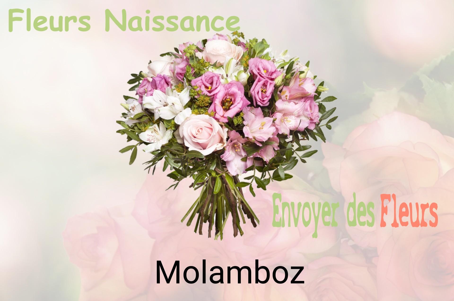 Bouquet de fleurs de naissance livré à Molamboz