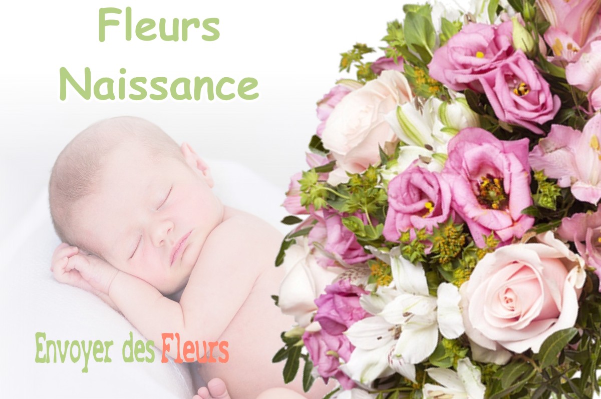 lIVRAISON FLEURS NAISSANCE à MOLAMBOZ