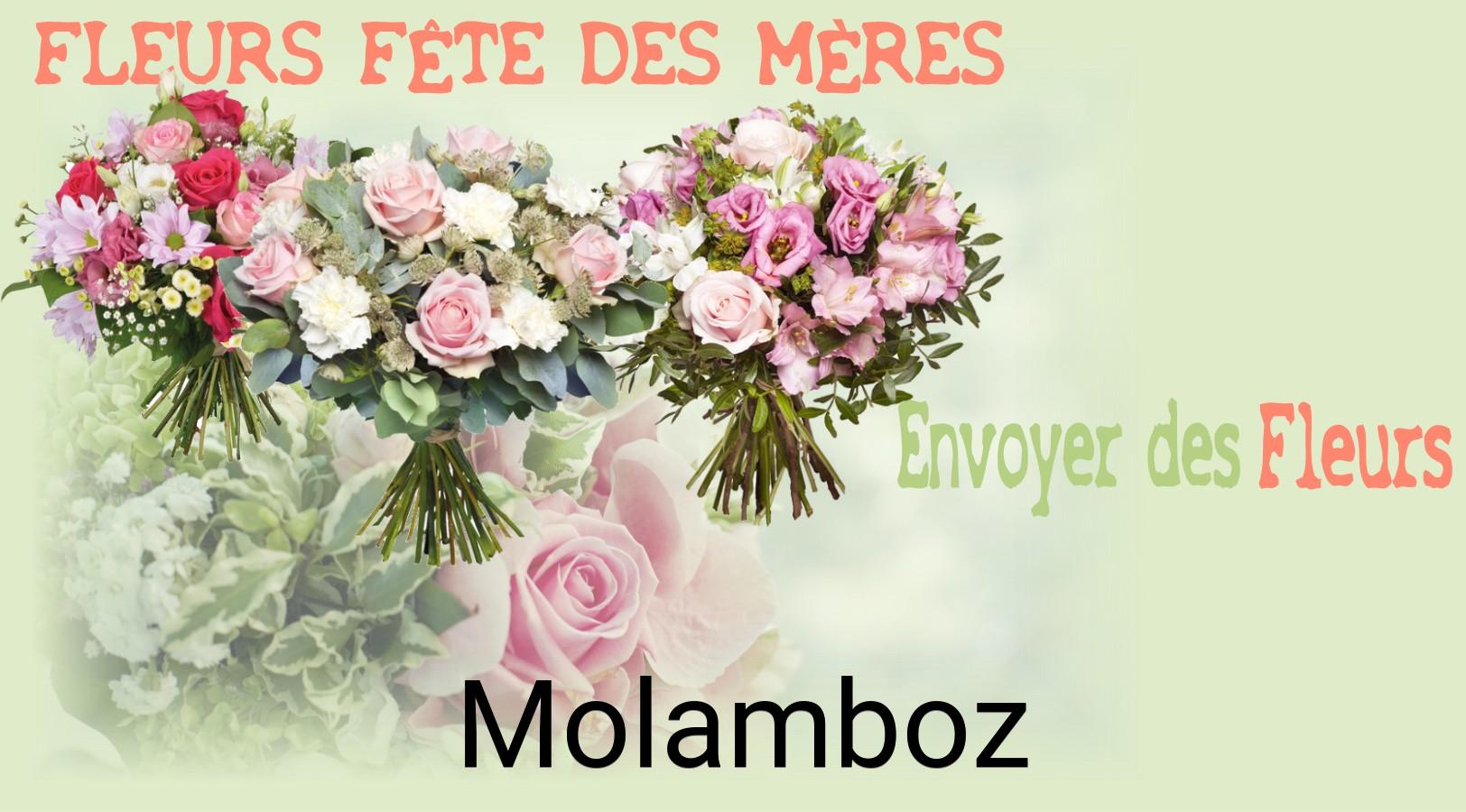 Bouquet de Fête des Mères livré à Molamboz